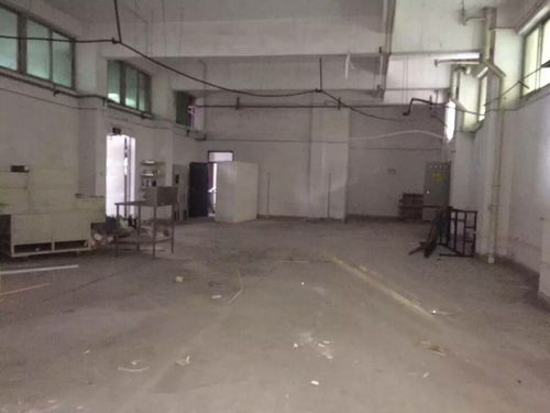 外資廠房驗(yàn)廠檢測鑒定報告高效出具指南